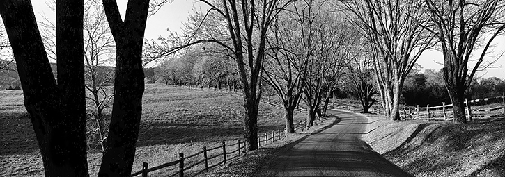 Highland Road Panorama in Fall, Albemarle County, VA